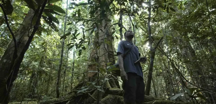 Pemprov Papua Barat menegaskan satu hal penting: tanpa persetujuan masyarakat adat, perluasan sawit tidak akan berjalan