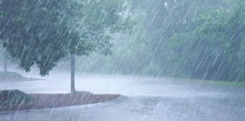 BMKG memperingatkan potensi hujan lebat dan angin kencang di berbagai wilayah Indonesia pada 16–22 Januari 2026