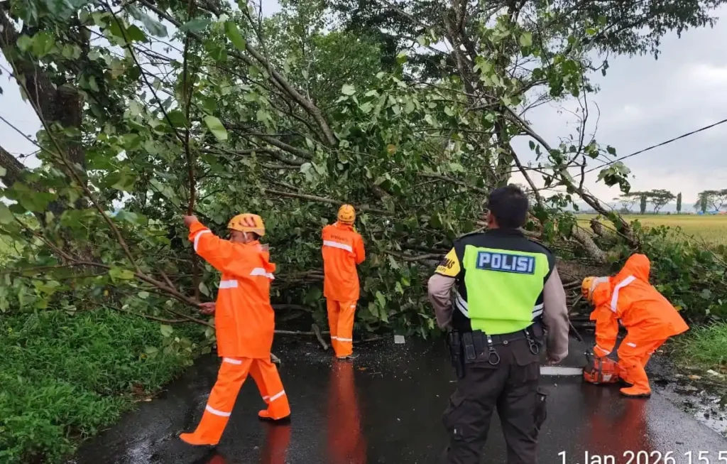 Akses Jalan Raya Melaten, Kecamatan Kepanjen, Kabupaten Malang, sempat terganggu akibat dua pohon tumbang menutup akses jalan