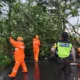 Akses Jalan Raya Melaten, Kecamatan Kepanjen, Kabupaten Malang, sempat terganggu akibat dua pohon tumbang menutup akses jalan