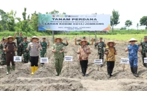Pemkab Jombang menggelar tanam tebu perdana Program Bongkar Ratoon 2025/2026 sebagai langkah strategis mendukung swasembada gula nasional.