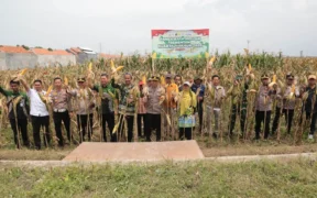 Pemerintah Kota Probolinggo bersama Polres Probolinggo Kota menggelar Panen Raya Jagung Serentak Kuartal IV Tahun 2025