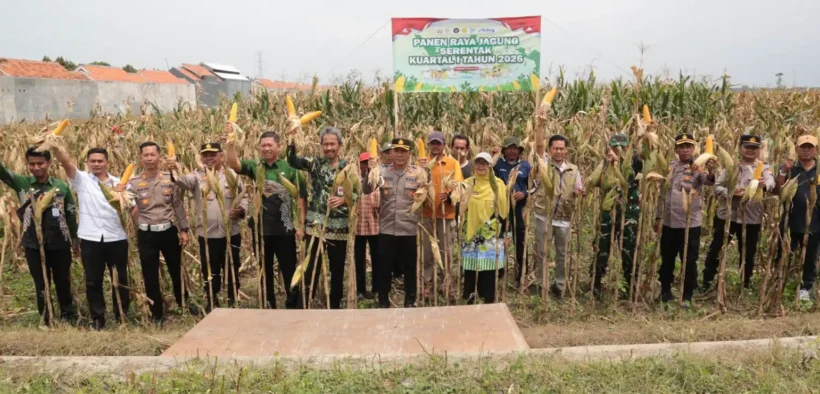 Pemerintah Kota Probolinggo bersama Polres Probolinggo Kota menggelar Panen Raya Jagung Serentak Kuartal IV Tahun 2025