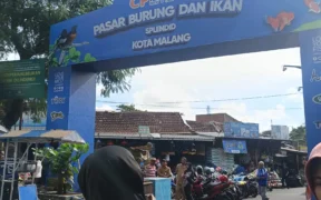 Pemerintah Kota (Pemkot) Malang bersiap melakukan penataan ulang Pasar Burung dan Pasar Bunga, agar kawasan pasar tersebut lebih tertib