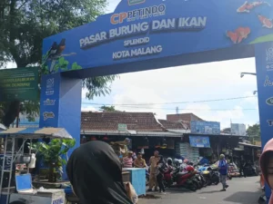 Pemkot Malang Siapkan Penataan Ulang Pasar Burung dan Bunga