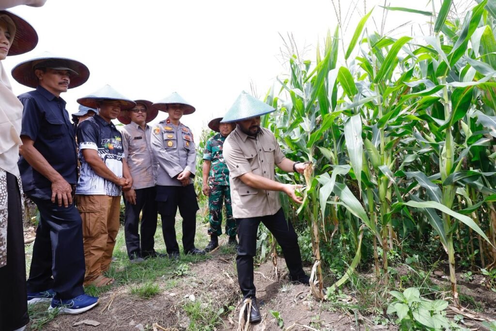 Pemerintah Kota Batu turut ambil bagian dalam Panen Raya Jagung Serentak Kuartal I secara nasional yang menjadi bagian dari program Swasembada Pangan 2026.