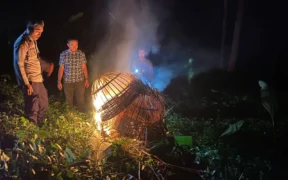 Arena judi sabung ayam di kawasan kebun sengon, Desa Sambigede, Kecamatan Sumberpucung dibakar Polisi di tempat
