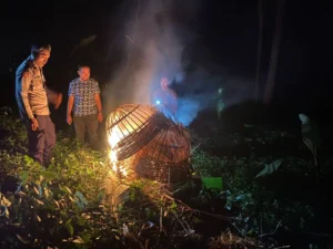 Warning Keras, Polisi Bakar Arena Judi Sabung Ayam di Sumberpucung