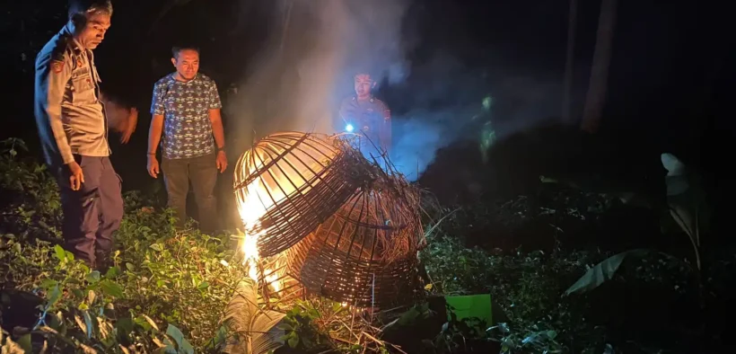 Arena judi sabung ayam di kawasan kebun sengon, Desa Sambigede, Kecamatan Sumberpucung dibakar Polisi di tempat