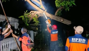 Angin Datang Tiba-Tiba: Puting Beliung Sapu 2 Desa di Leces