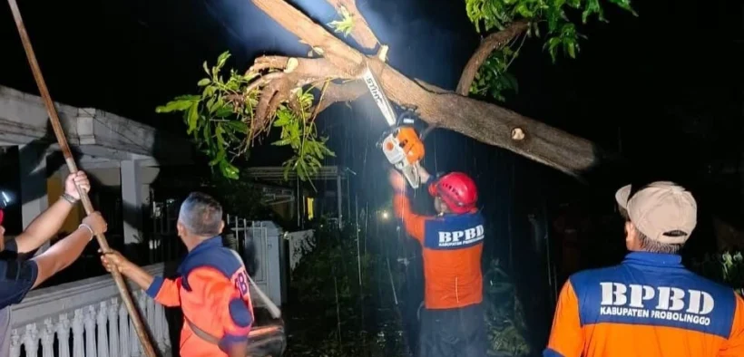 Puting beliung menerjang Kecamatan Leces, Kabupaten Probolinggo, merusak puluhan rumah dan menumbangkan pohon