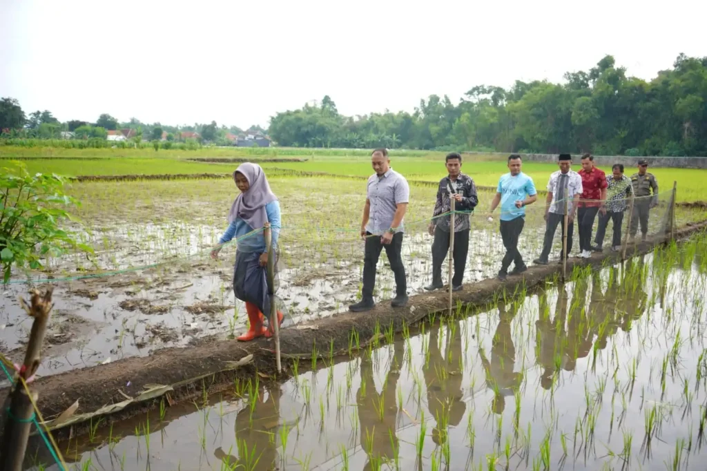 Musyawarah Perencanaan Pembangunan (Musrenbang) Kelurahan di Kota Probolinggo mulai digelar sejak 19 hingga 28 Januari 2026.