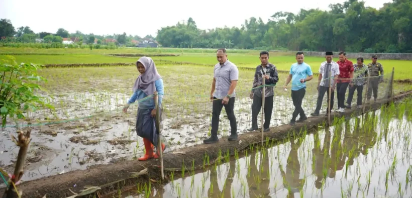 Musyawarah Perencanaan Pembangunan (Musrenbang) Kelurahan di Kota Probolinggo mulai digelar sejak 19 hingga 28 Januari 2026.