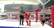 Borong 23 Medali di Kejurprov Jatim, Atlet Muaythai Kabupaten Probolinggo Tunjukkan Dominasi