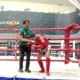 Borong 23 Medali di Kejurprov Jatim, Atlet Muaythai Kabupaten Probolinggo Tunjukkan Dominasi
