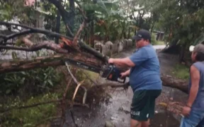 Cuaca ekstrem sebabkan pohon tumbang di sejumlah wilayah Probolinggo. BPBD dan Damkar bergerak cepat membuka akses jalan dan permukiman.