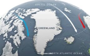 Trump incar Greenland untuk apa