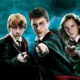 Karakter Harry Potter ternyata punya kepribadian yang cocok dengan zodiak tertentu. Dari Leo ala Harry Potter hingga Scorpio versi Voldemort.