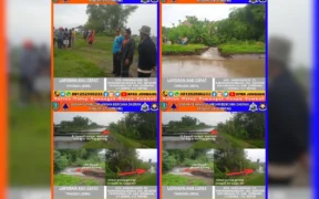 Tanggul Sungai Merican Jebol, BPBD Jombang Siapkan Penanganan Darurat