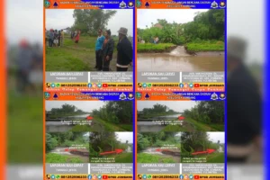 Tanggul Jebol di Bandar Kedungmulyo, BPBD Jombang Gerak Cepat