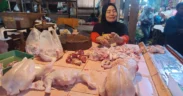 Harga daging ayam potong di sejumlah pasar tradisional malang raya mengalami kenaikan menjelang bulan Ramadan