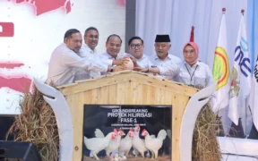 Kabupaten Malang Ditunjuk Jadi Lokasi Program Hilirisasi Ayam Terintegrasi