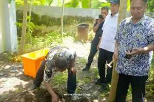 Disnakkan Situbondo Musnahkan Ikan Aligator Usai Banjir