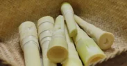 Rebung atau tunas bambu, Salah satu bahan pangan favorit di berbagai negara Asia ini, ternyata punya manfaat lebih bagi kesehatan tubuh