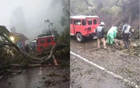 Longsor menerjang Bukit Kingkong dan Bukit Dingklik di kawasan Gunung Bromo, Rabu dini hari. Tujuh motor dan satu mobil tertimbun material