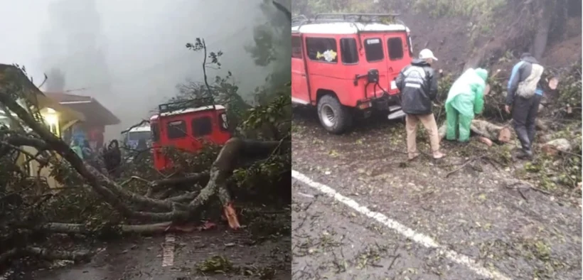 Longsor menerjang Bukit Kingkong dan Bukit Dingklik di kawasan Gunung Bromo, Rabu dini hari. Tujuh motor dan satu mobil tertimbun material