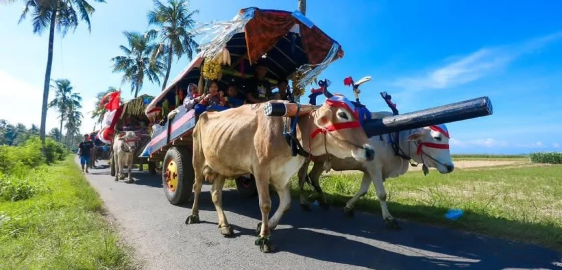 Destinasi favorit seperti Pantai Watu Ulo dan Pantai Papuma dipadati wisatawan saat libur lebaran 2026, Jangan Kelewatan Festival Pegon