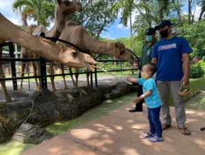 40 Ribu Orang Santuy di KBS Pas Lebaran 2026, Ada Capybara Gemoy