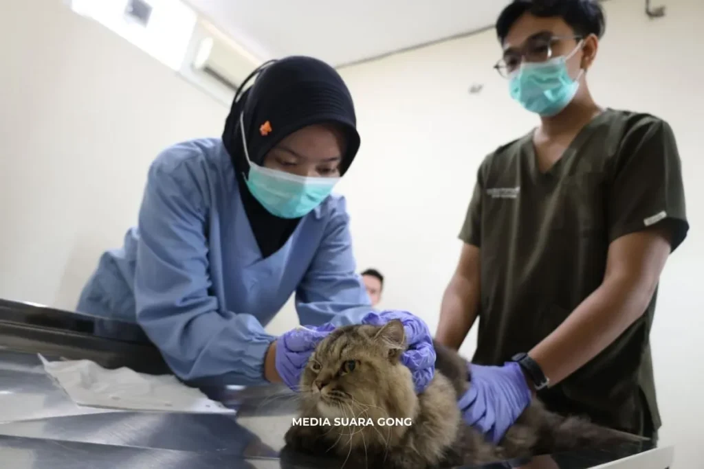 Titip Sehat Hewan Lebaran