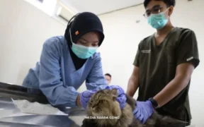 Titip Sehat Hewan Lebaran