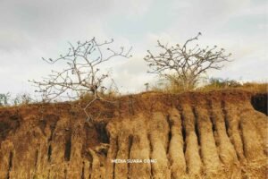 El Nino Datang, Indonesia Siap Gak?