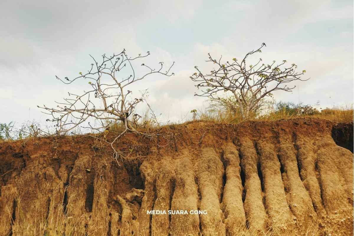 el nino kekeringan indonesia