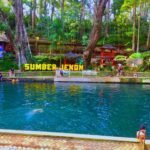 4 Destinasi Wisata Sejuk di Kabupaten Malang Wajib Masuk Bucket List