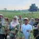 Di tengah cuaca yang makin nggak menentu, petani di Kabupaten Probolinggo justru berhasil Menaikkan produksi bawang merah