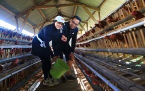 Wali Kota Probolinggo, Dokter Aminuddin, mengisi akhir pekan dengan bersepeda untuk meninjau jalan hingga potensi peternakan warga