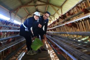 Wali Kota Probolinggo Tinjau Jalan Hingga Potensi Peternakan Warga