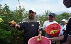 Wali Kota Batu, Nurochman, bersama Wakil Wali Kota Heli Suyanto bersama Komitmen menyelamatkan apel sebagai ikon khas Kota Batu.