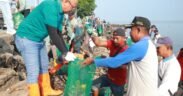 ratusan relawan di Pantai Desa Kalibuntu Bersama-sama turun langsung membersihkan sampah, hadapi krisis sampah yang kian mengkhawatirkan