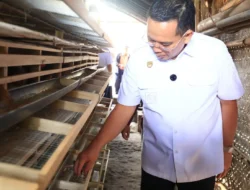 Peluang Usaha Baru, Budidaya Puyuh Jadi Andalan Pemkot Probolinggo