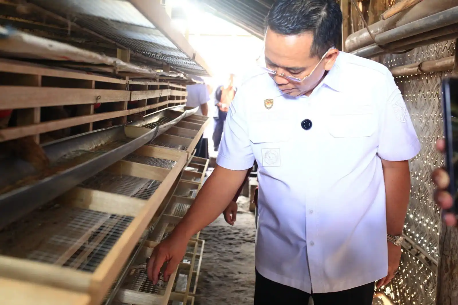 Budidaya Puyuh Jadi Andalan Pemkot Probolinggo