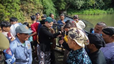 Ratusan Warga Rela Turun ke Sungai Berebut Kepala Kerbau dalam Tradisi Nyadran Dam Bagong