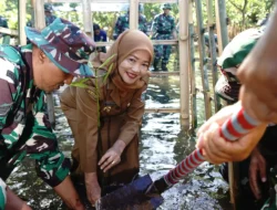 Wabup Lathifah Geber Tanam 500 Mangrove di Pantai Ngliyep!