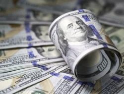“Warga Desa Gak Pakai Dolar”, Ekonom Sebut: Perlu Briefing