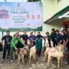 Silaturahmi dan Berbagi, DPC PKB Kota Batu Sembelih 1 Ekor Sapi dan 9 Kambing