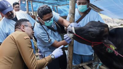Wali Kota Malang Pastikan Hewan Kurban Sehat Jelang Iduladha 2026