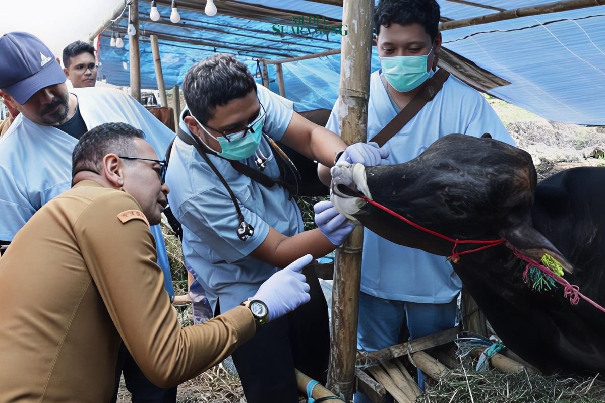 Wali Kota Malang Pastikan Hewan Kurban Sehat Jelang Iduladha 2026